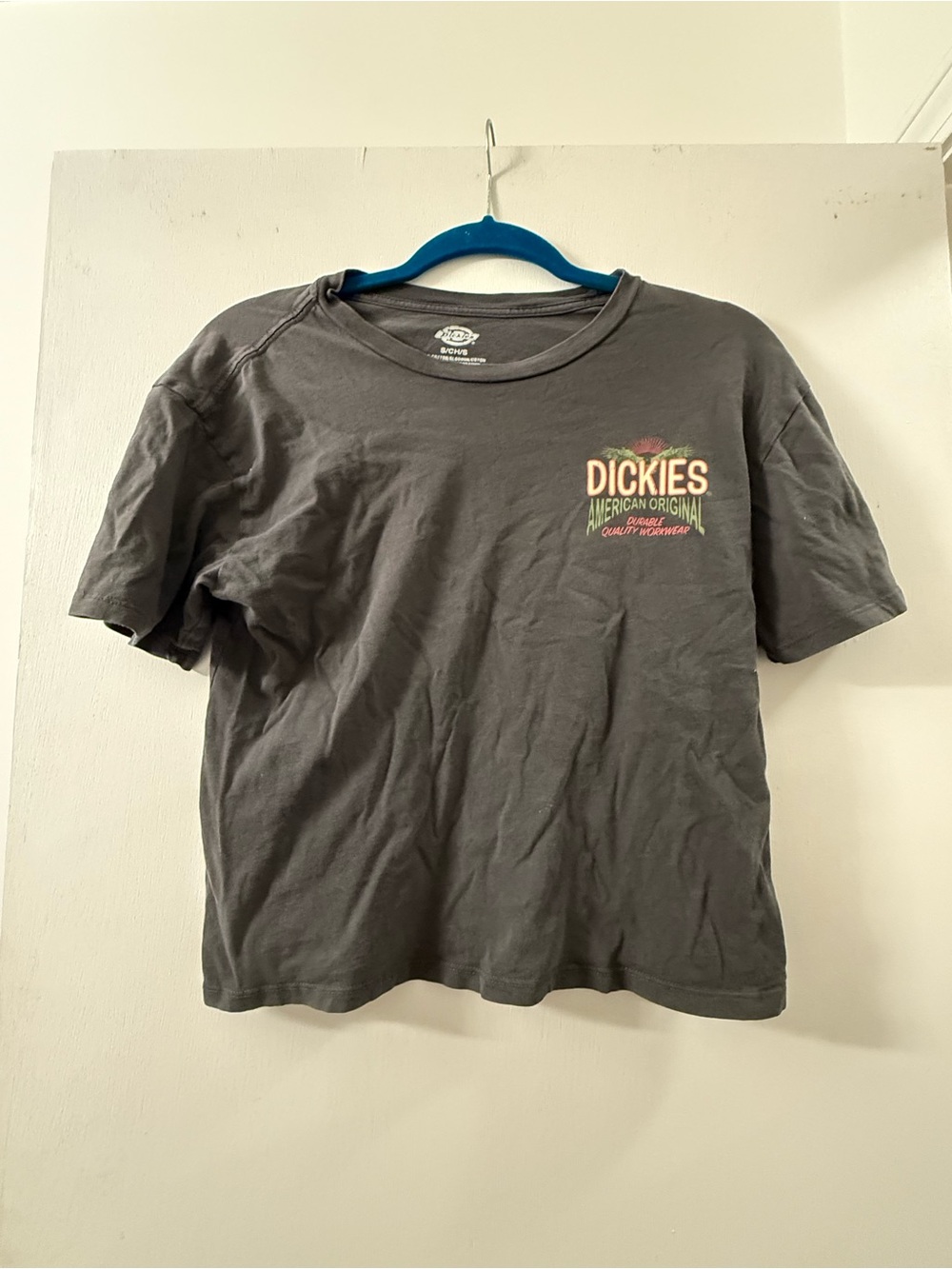 Dickies women’s short Sleeve Graphic T-Shirt in Charcoal